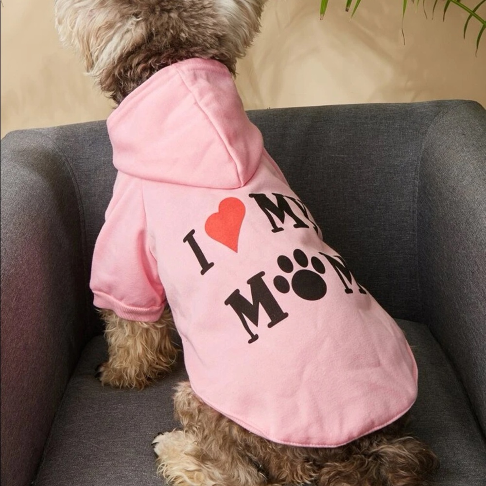 Graphic Logo Pet Sweater 🐕